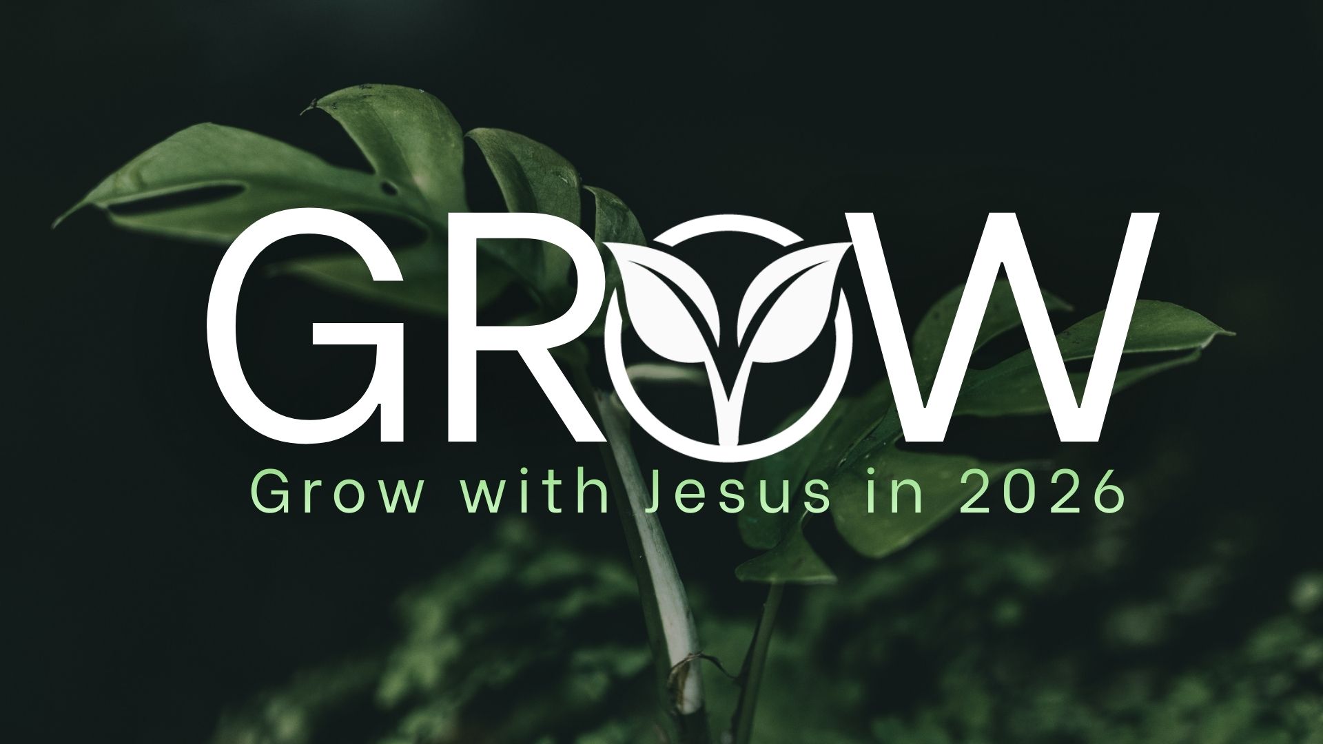 Grow Sermon Series
