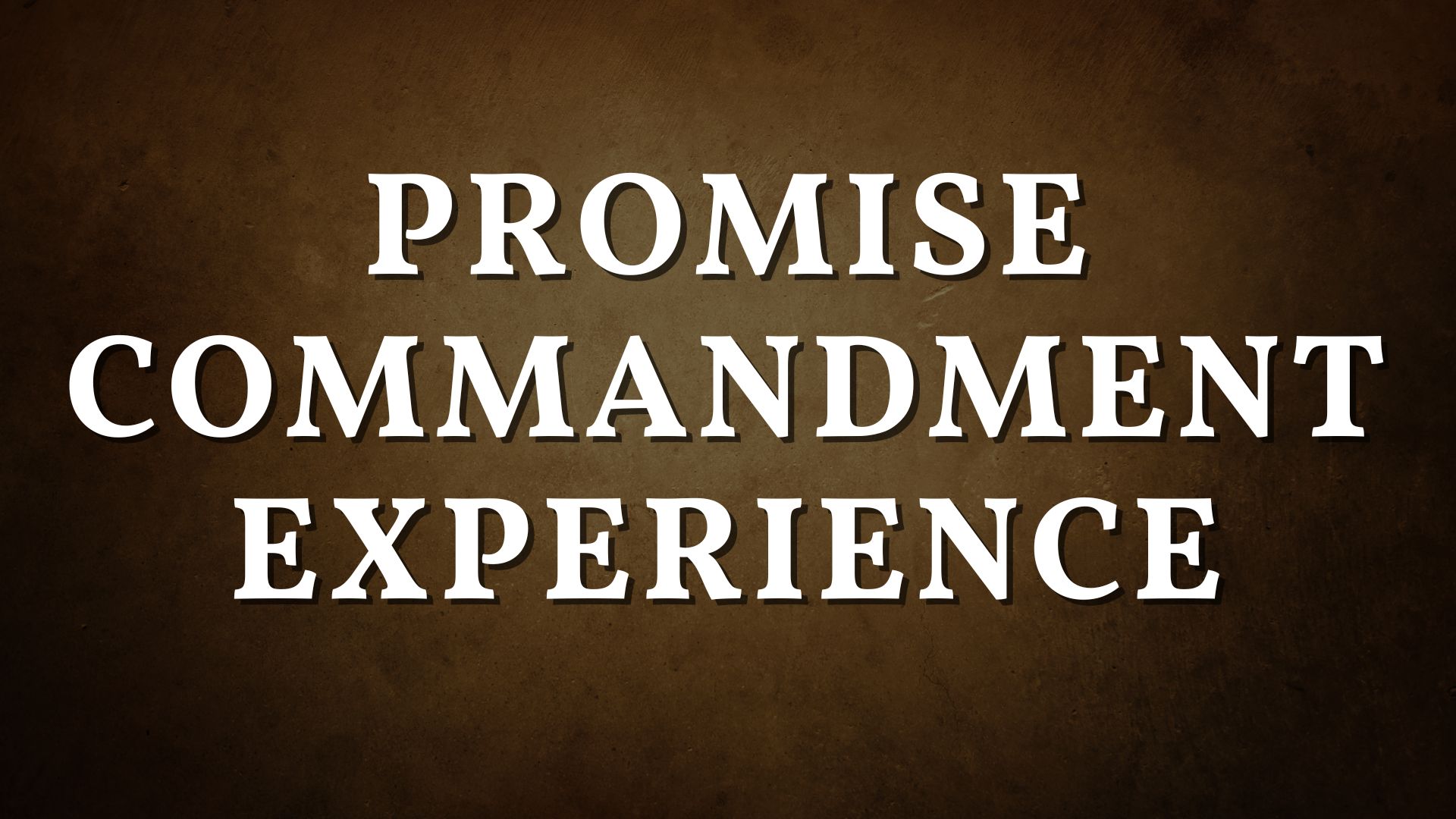 Promise Commandment Experience
