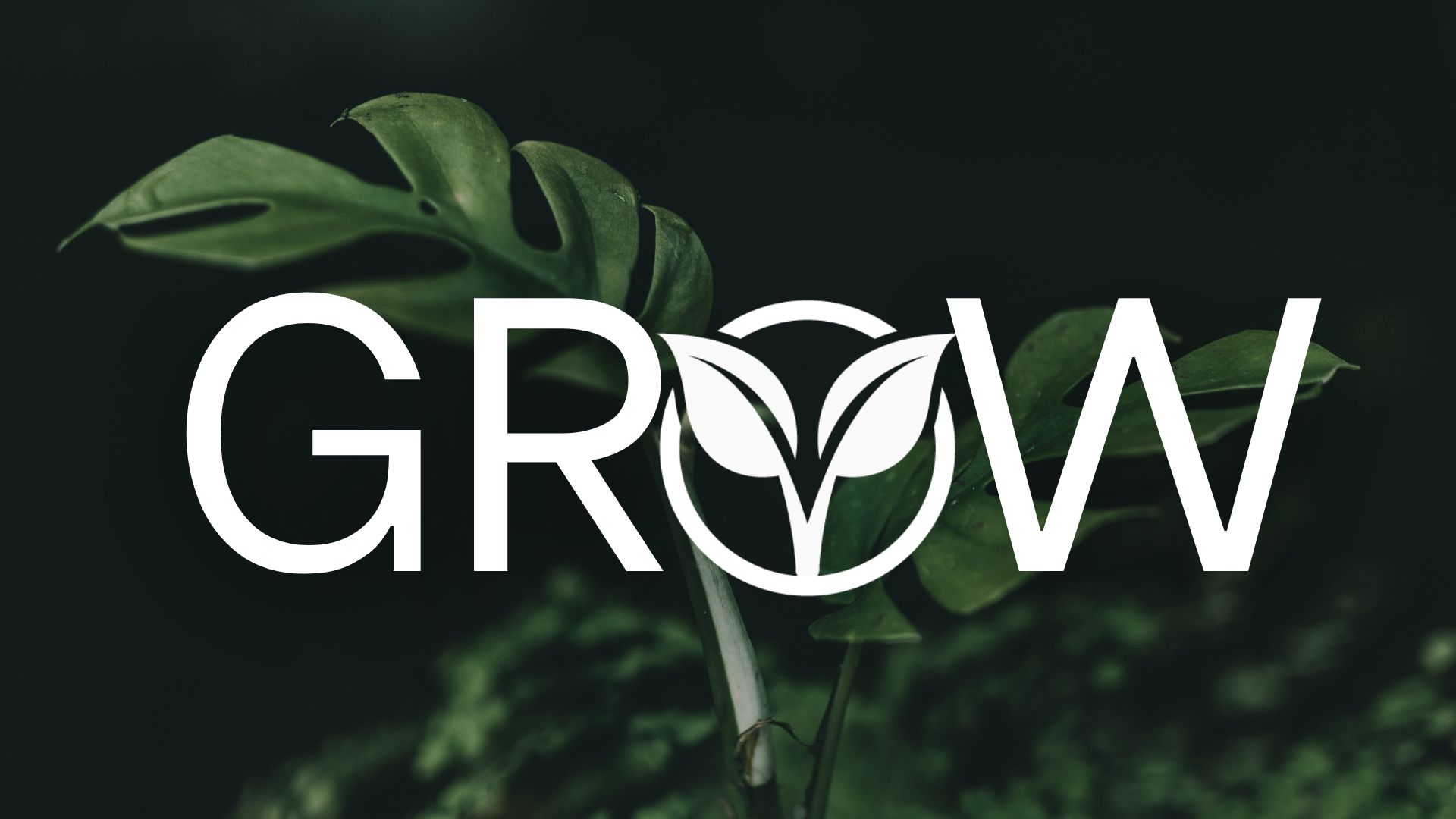 Grow: Spiritual Maturity